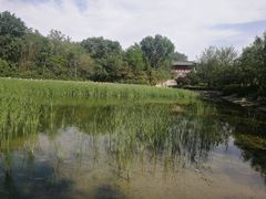-云岗森林公园
