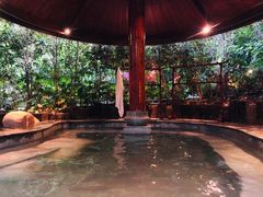 -天目湖御水温泉·度假酒店