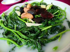 上汤百花菜-苏记美食(张槎一路店)