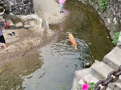 -羊楼洞
