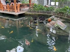 -南宫五洲植物乐园