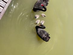 -南大港湿地风景区