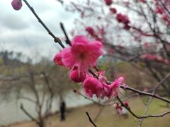 -婺源风景区