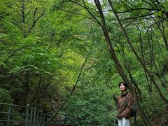 -九龙潭景区