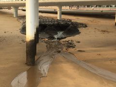 -演武大桥观景平台