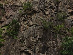 -云岫谷游猎自然风景区