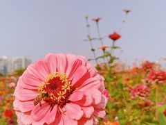 -白塘生态植物园