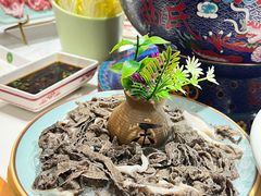 -曲氏老北京铜锅涮肉•火锅(不老街店)