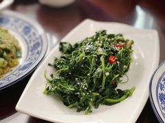 凉拌苜蓿-范记靖远羊羔肉(博物馆店)