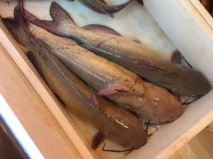 -江湖水乡铁锅炖魚(周庄嘉园店)