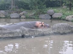 -上海野生动物园