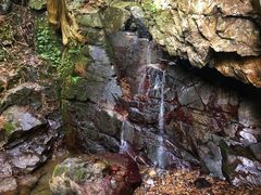 -藏龙百瀑风景区