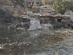 -云龙湖旅游景区