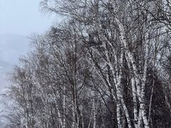 -密苑云顶乐园(云顶滑雪场)