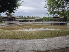 -善化寺
