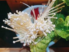 -潮辣成都老火锅(奉贤扶港路店)