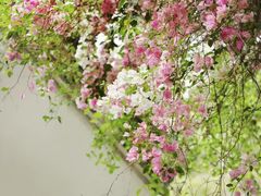 -深圳国际园林花卉博览园