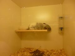 -龙猫仔乐园(惠福东路店)