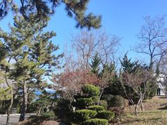 -棒棰岛宾馆景区