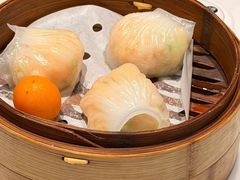-点都德·毕德寮