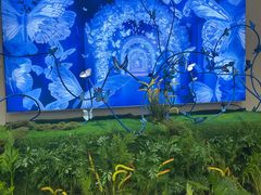 -深圳龙华星河COCO City(民治店)