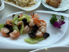 -云中小雅