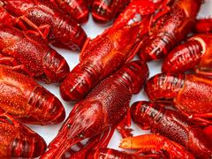 -二钳洞庭虾蟹·江湖菜(鹭岛店)