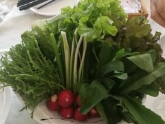 -食家鸽园