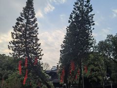 -荔湾湖公园