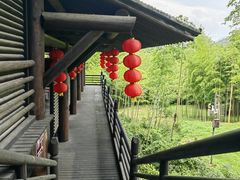 -大唐贡茶院