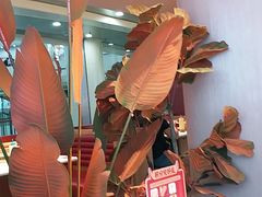 -小猪小牛章鱼水煎肉(盛京大奥莱店)