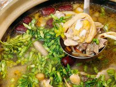 -楠波炭炉鸡煲馆(桥北店)