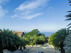 -海南霸王岭国家森林公园