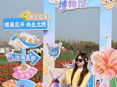 -荷兰花海
