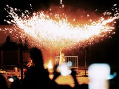 -哈尔滨文化公园