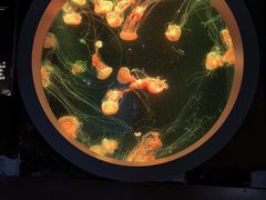 -南京金牛湖风景区