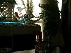 -339旋转餐厅(天府熊猫塔店)
