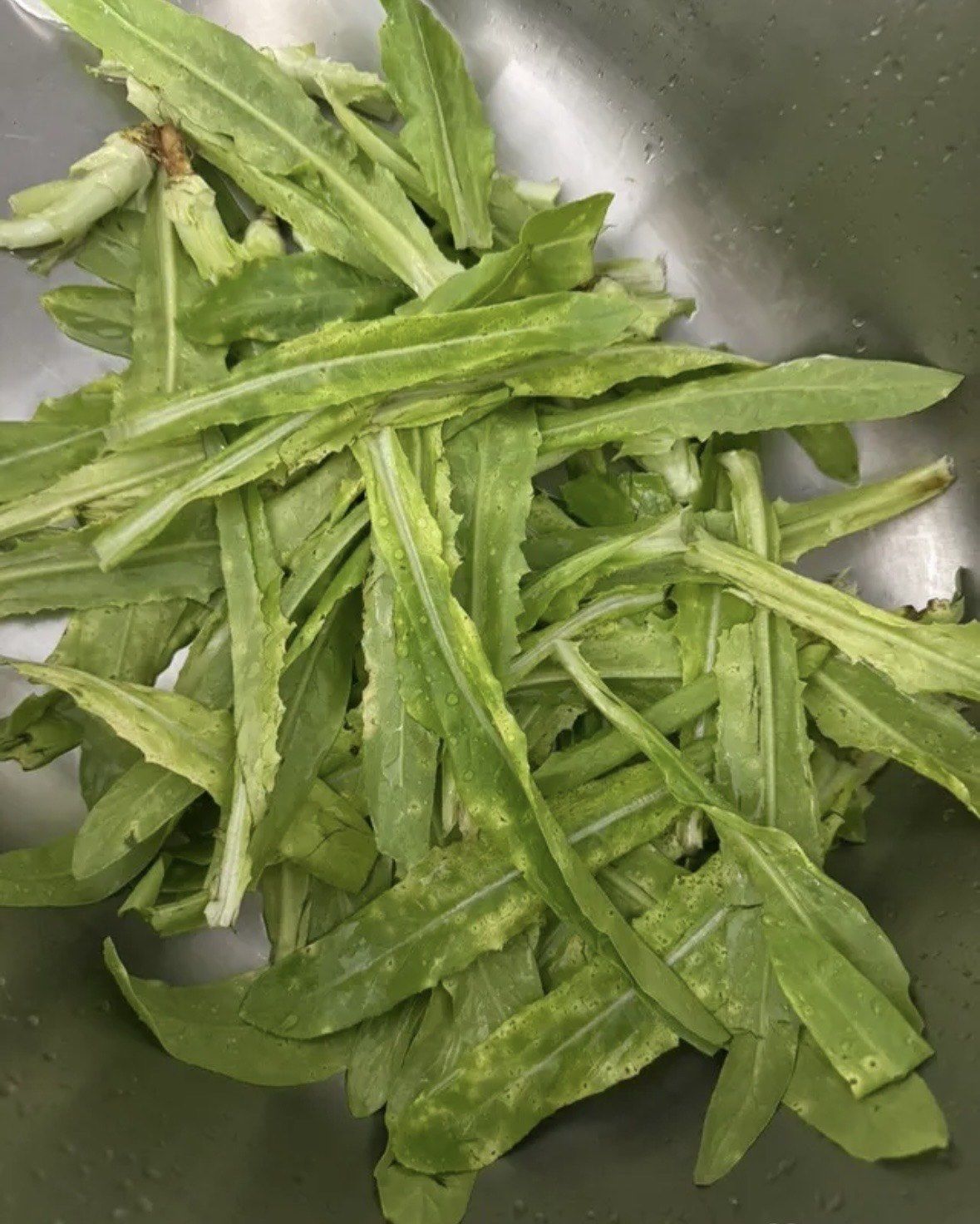 菜品烂,各种枯叶,烂