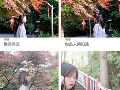 -南山植物园
