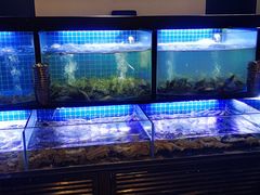 水产区-福禧荟·海鲜自助