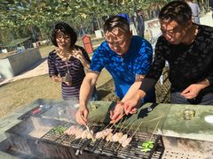 -上海长兴岛郊野公园