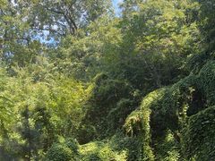 -终南山南五台景区