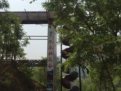 -欢乐松鼠谷
