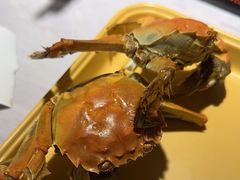 -一绪に寿喜烧自助(世茂广场店)