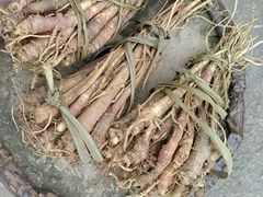 -金堂县云顶石城风景区