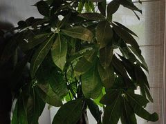 -赣江里•江西菜(望京旺角店)