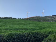 -东白山