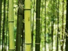 -太湖源风景区