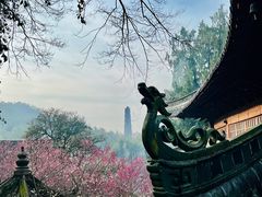 -天台山景区