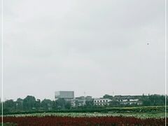 -郫都区农科村景区
